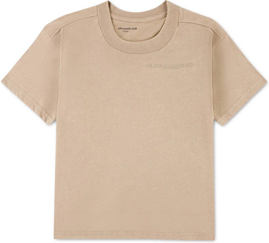 Abercrombie & Fitch jersey T-shirt taupe