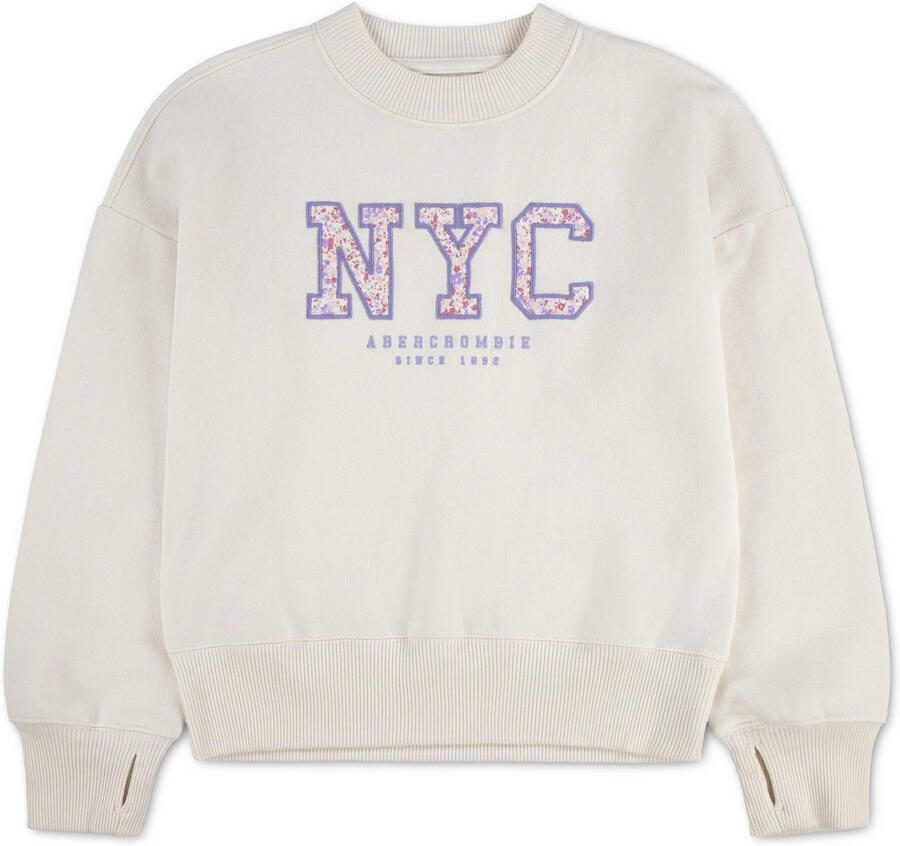 Abercrombie & Fitch sweater lichtgrijs