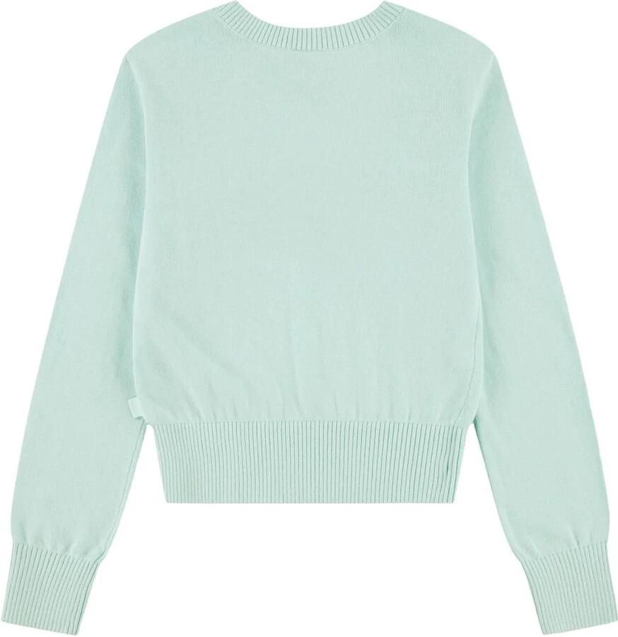 Abercrombie & Fitch sweater met print turquoise Trui Blauw Meisjes Katoen Ronde hals - Foto 2