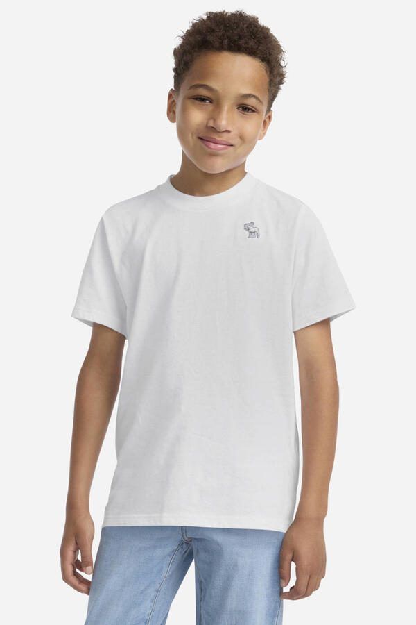 Abercrombie & Fitch T-shirt lichtgrijs