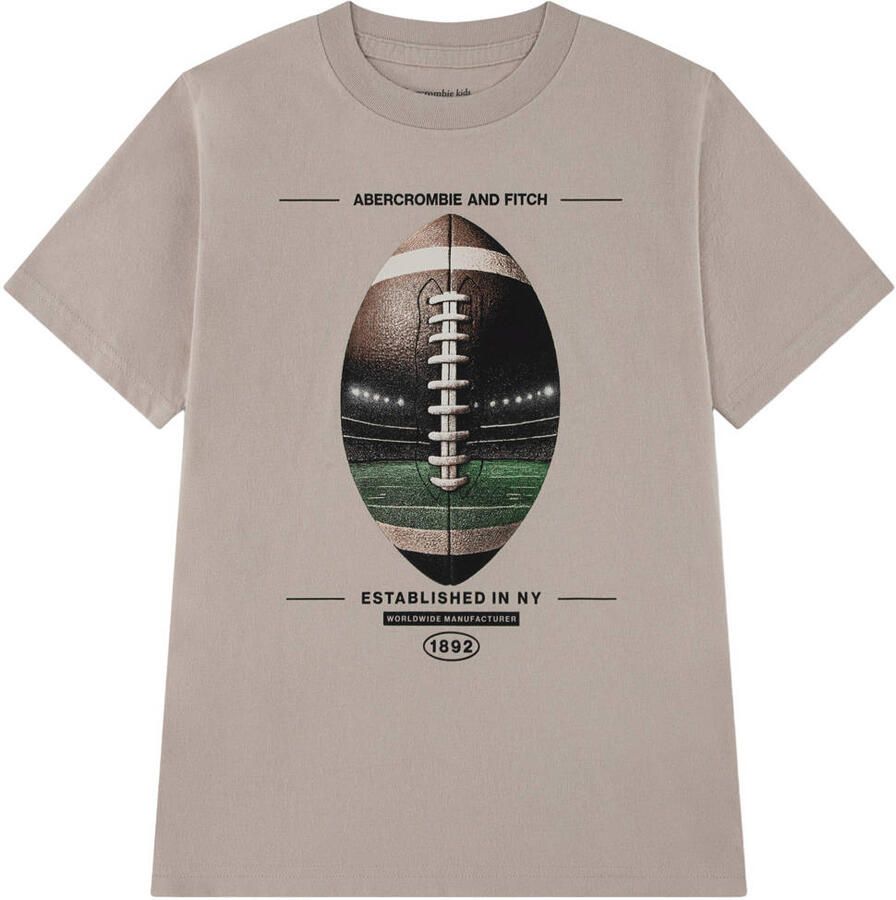 Abercrombie & Fitch T-shirt met print taupe Bruin Jongens Katoen Ronde hals