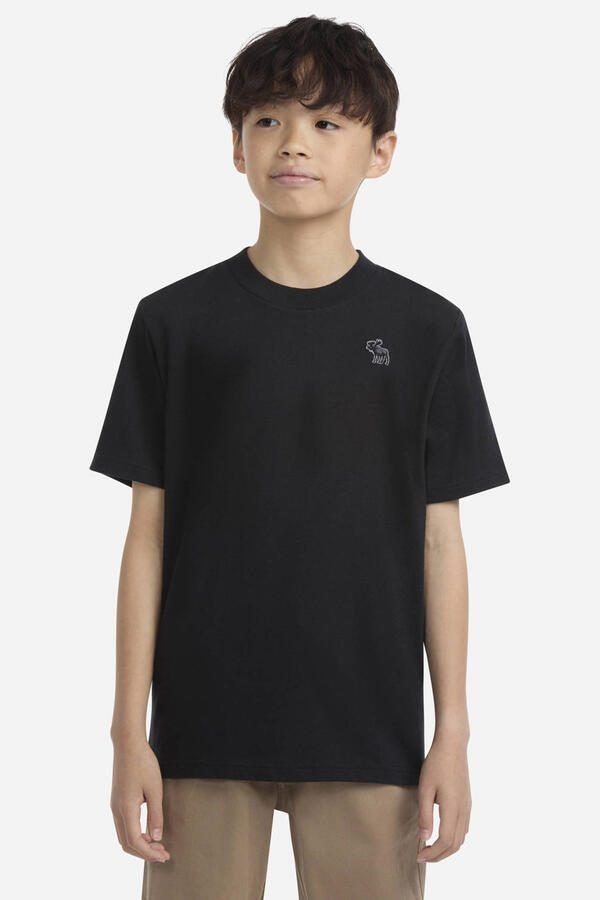 Abercrombie & Fitch T-shirt zwart
