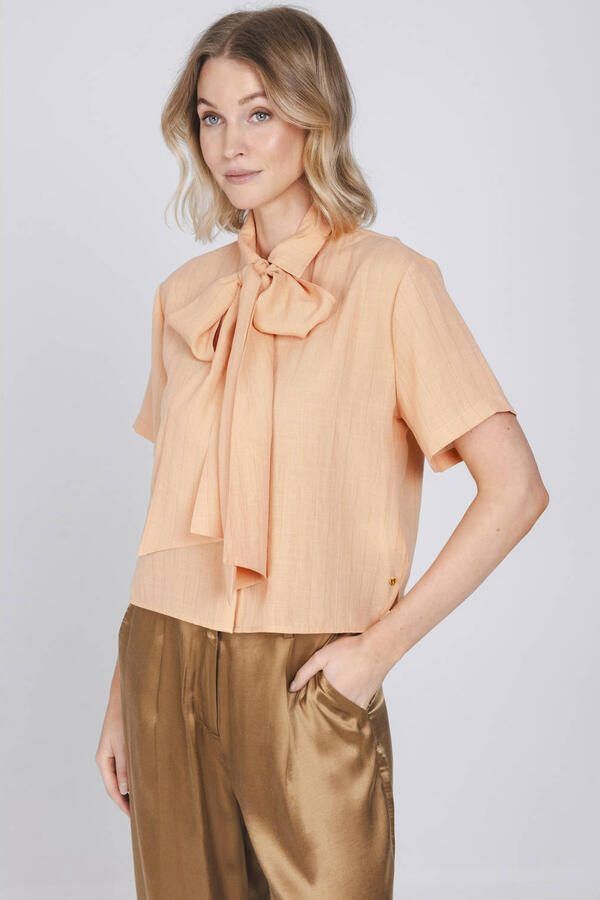 Accentil blouse oranje