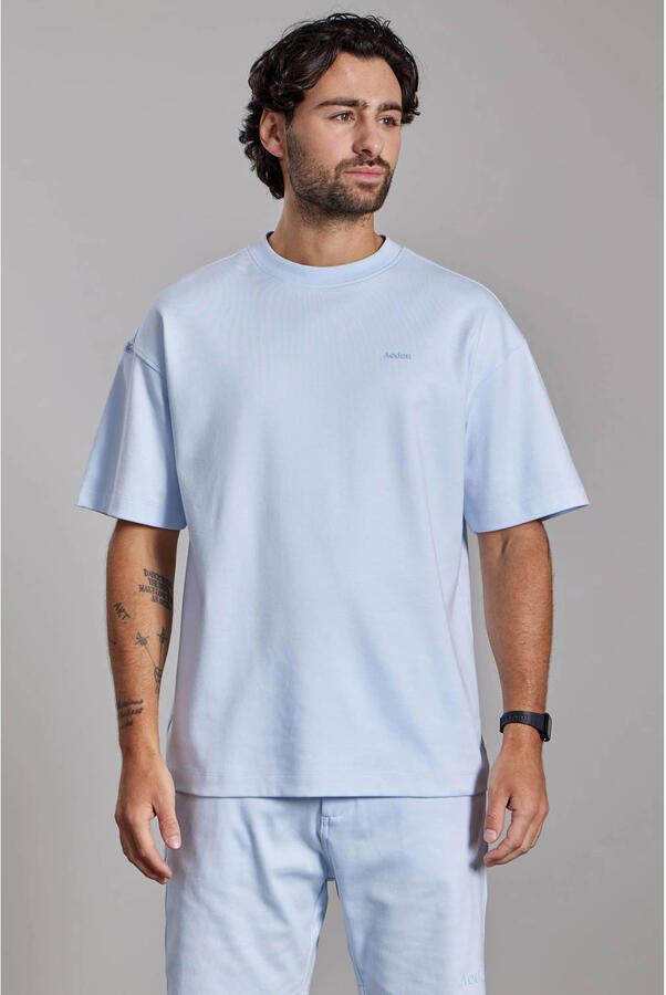 Aeden oversized T-shirt met backprint lichtblauw