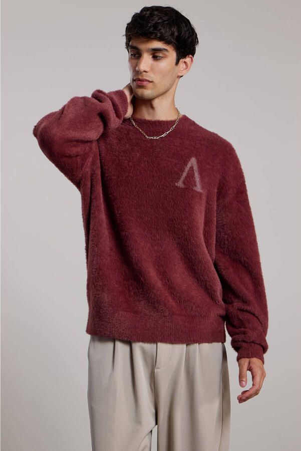 Aeden regular fit gebreide trui met logo bordeaux