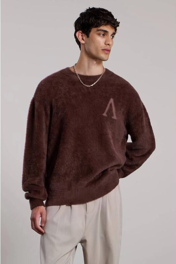 Aeden regular fit gebreide trui met logo bruin - Foto 2