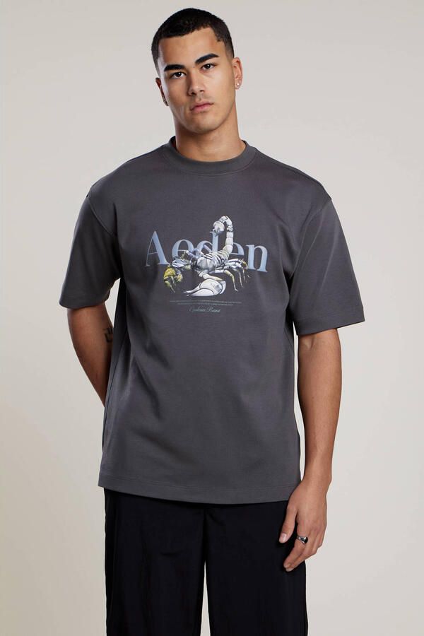 Aeden regular T-shirt grijs