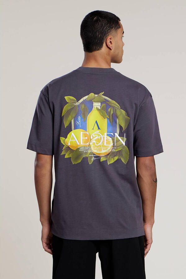 Aeden regular T-shirt met backprint grijs - Foto 3