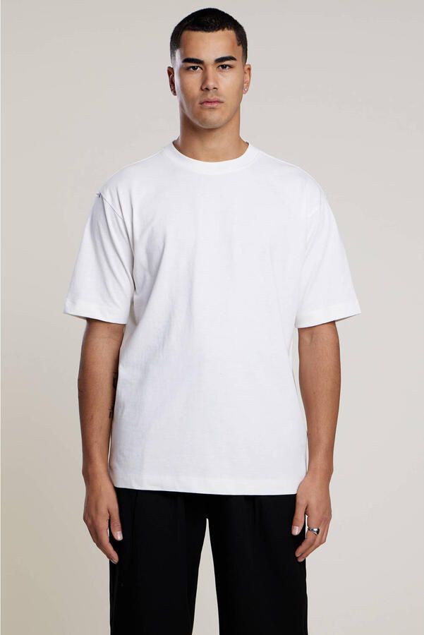 Aeden regular T-shirt met backprint wit