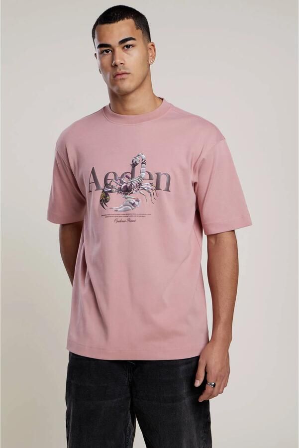 Aeden regular T-shirt roze