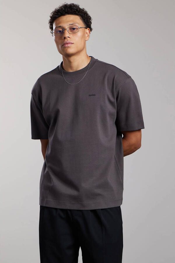 Aeden relaxed fit T-shirt met backprint grijs