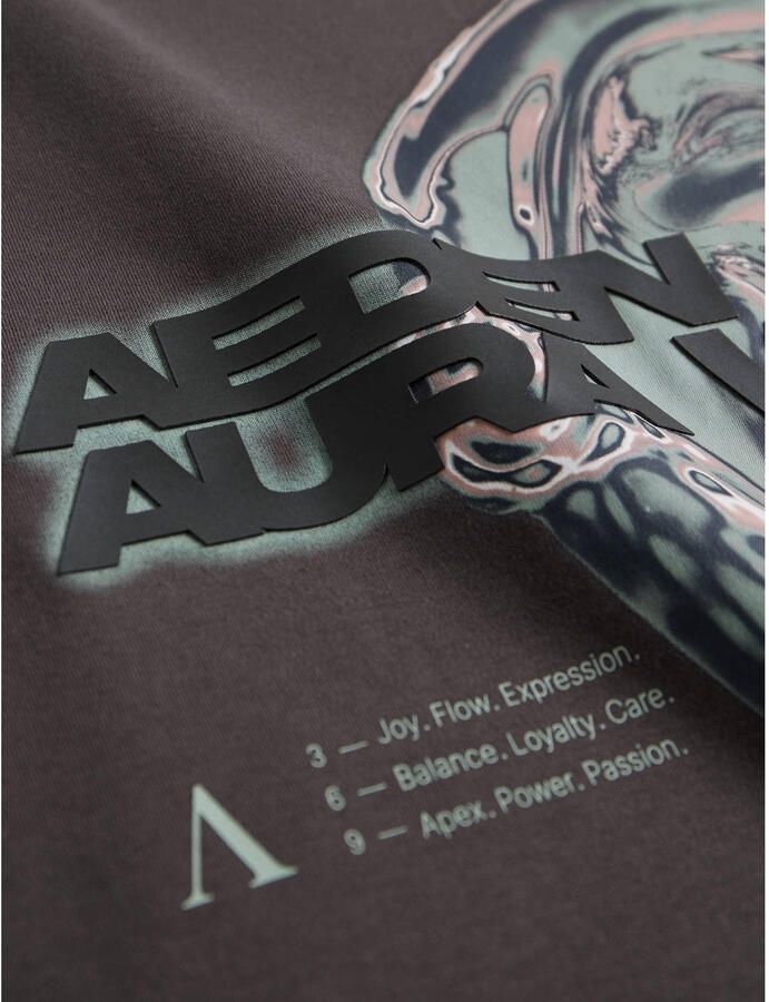 Aeden relaxed fit T-shirt met backprint grijs - Foto 2
