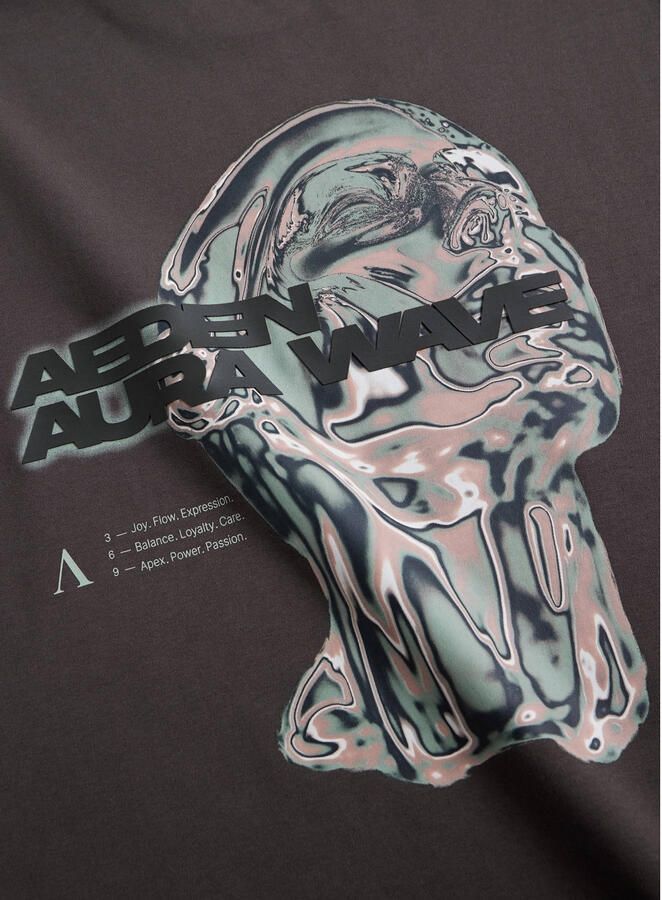 Aeden relaxed fit T-shirt met backprint grijs - Foto 3