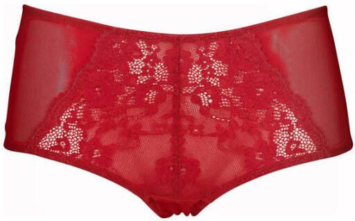 After Eden D-cup & up Hipster Bo Met kant licht doorschijnend vrouwelijk comfortabel zacht elastisch