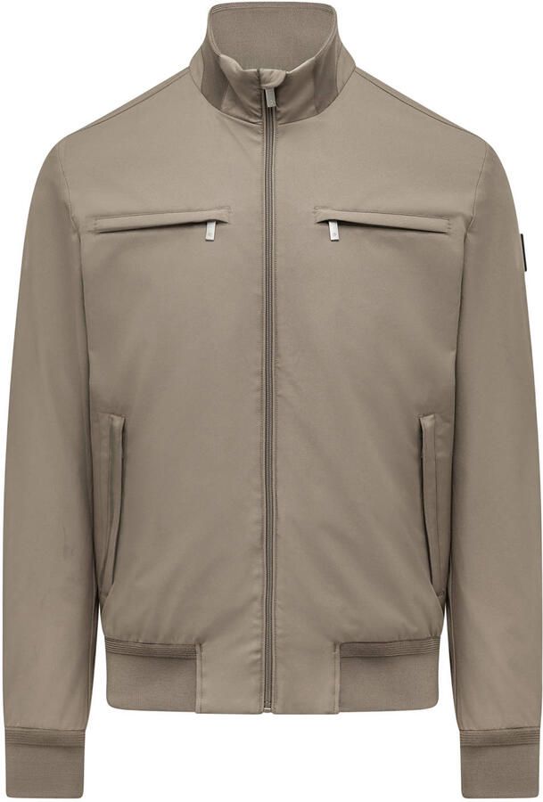 Agiato zomerjas bruin