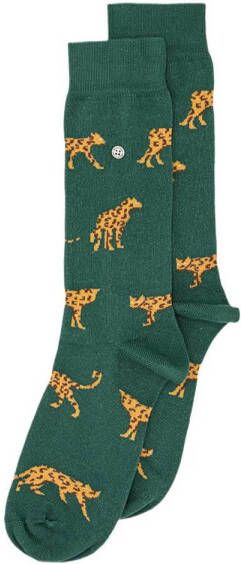 Alfredo Gonzales sokken Jaguar donkergroen