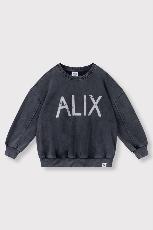ALIX MINI Jongens Truien & Vesten Knitted Alix On Tour Sweater Donkergrijs - Foto 4