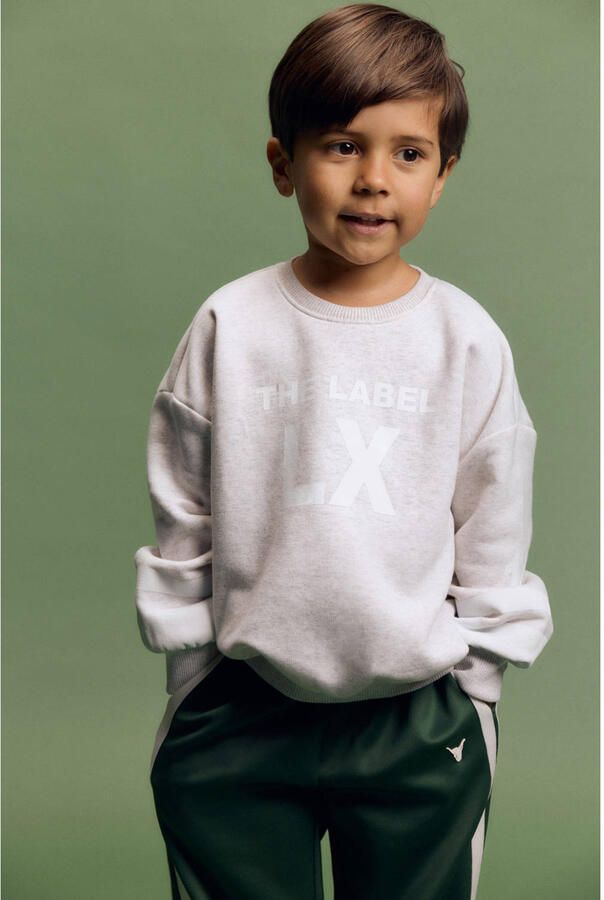 ALIX MINI Truien & Vesten Sporty Sweater Lichtgrijs - Foto 4