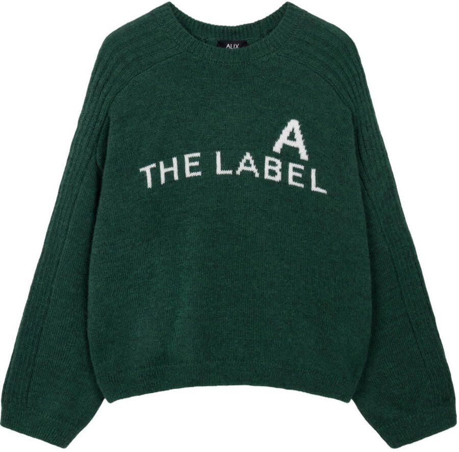 ALIX THE LABEL Dames Truien & Vesten Ladies Knitted The Label Pullover Donkergroen - Foto 6