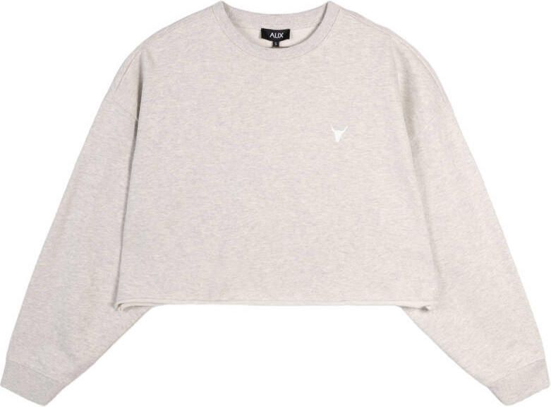 ALIX THE LABEL Dames Truien & Vesten Ladies Knitted Back Print Sweater Lichtgrijs - Foto 4