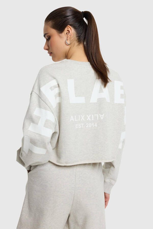 ALIX THE LABEL Dames Truien & Vesten Ladies Knitted Back Print Sweater Lichtgrijs - Foto 5