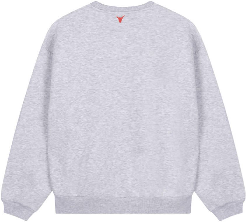 ALIX THE LABEL Dames Truien & Vesten Ladies Knitted Adventure Sweater Grijs - Foto 5