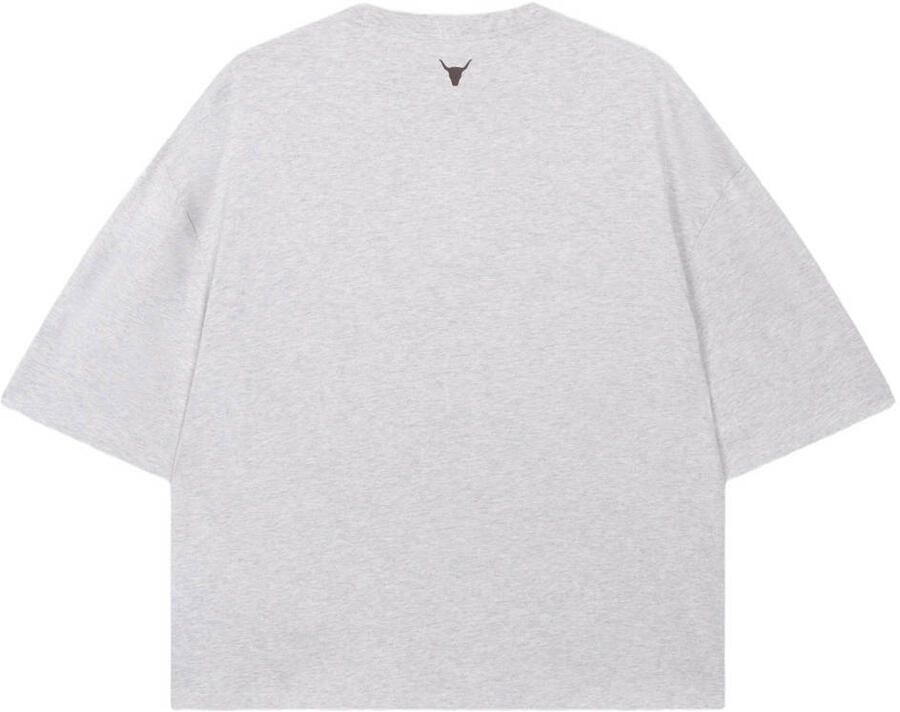 ALIX THE LABEL Dames Tops & T-shirts Ladies Knitted The Label Oversized T-shirt Lichtgrijs - Foto 6