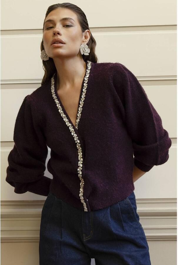 AMAYA AMSTERDAM Dames Truien & Vesten Sia Knitwear Bordeaux - Foto 7