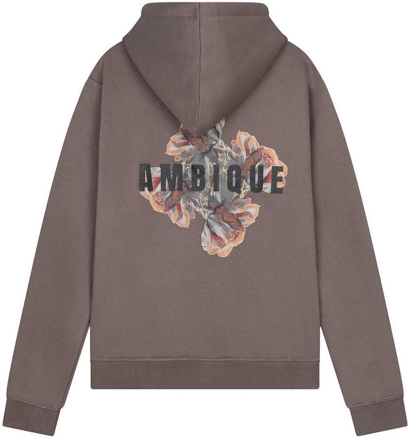 Ambique hoodie met backprint taupe