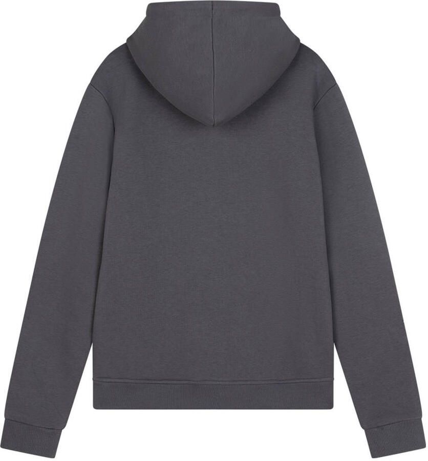 Ambique sweater grijs