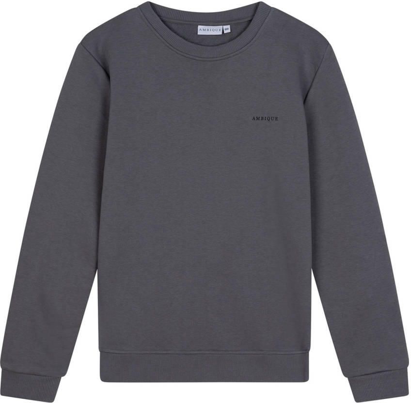 Ambique sweater grijs