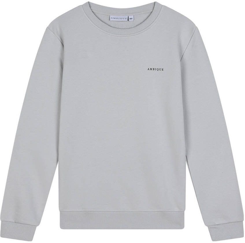 Ambique sweater lichtgrijs