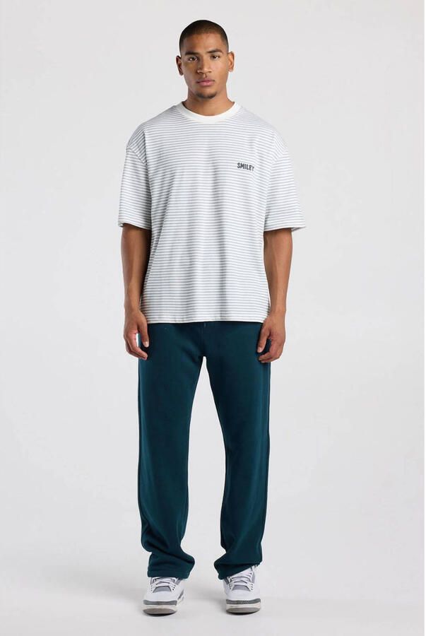 America Today boxy gestreept T-shirt met backprint wit groen
