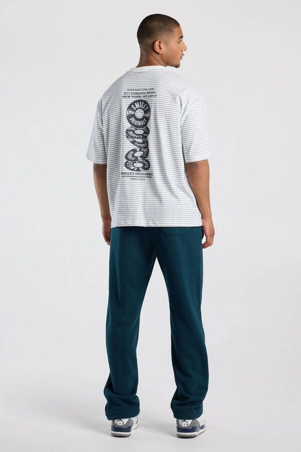 America Today boxy gestreept T-shirt met backprint wit groen - Foto 2