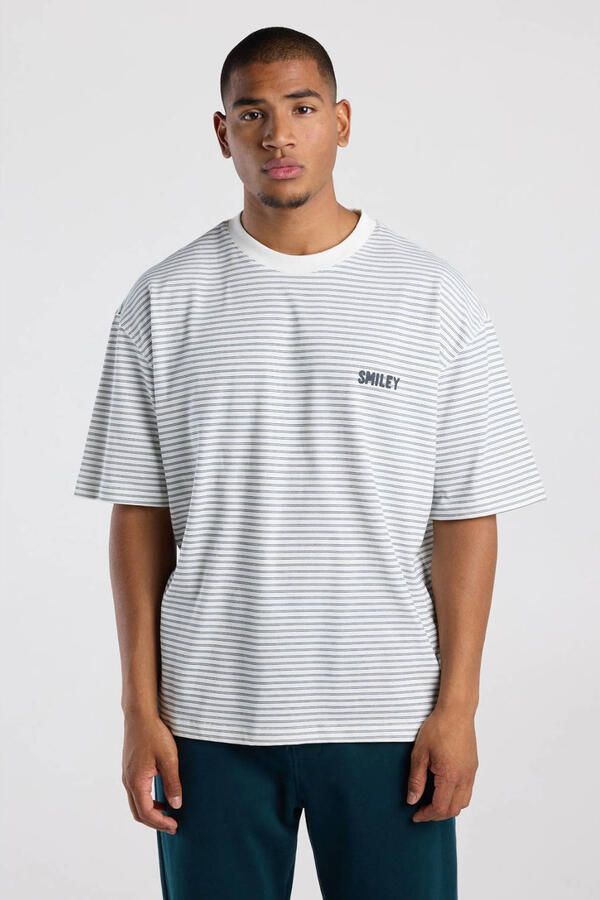 America Today boxy gestreept T-shirt met backprint wit groen - Foto 3