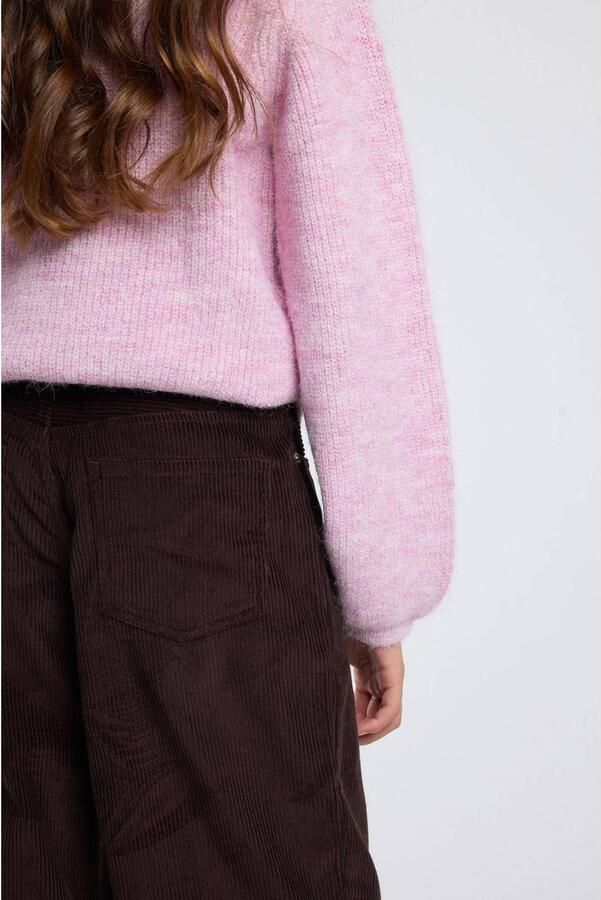 America Today broek met corduroy details bruin Effen - Foto 2