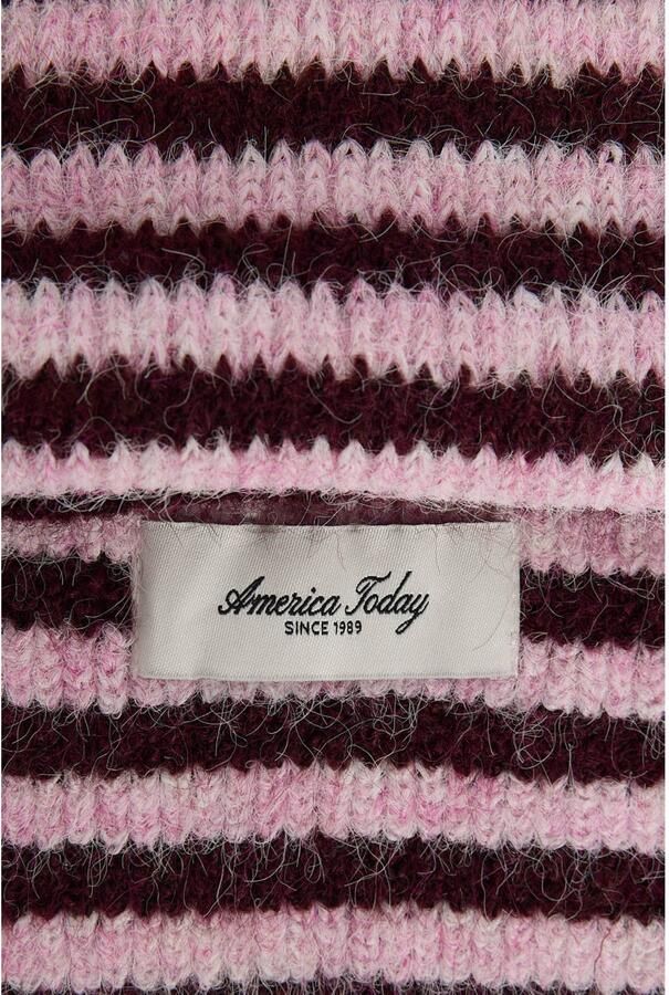 America Today gestreepte sjaal roze