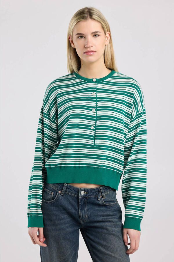 America Today gestreepte sweater groen
