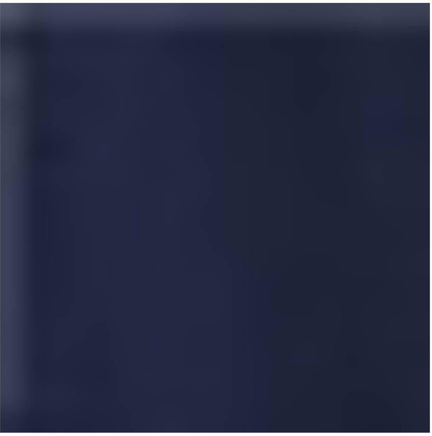 America Today high waist casual short donkerblauw - Foto 2