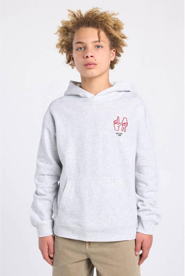 America Today hoodie lichtgrijs
