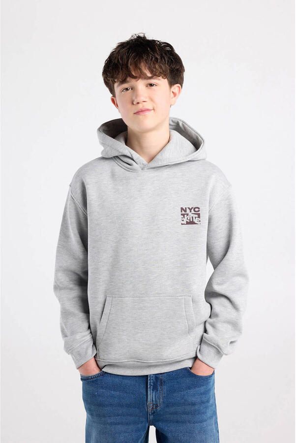 America Today hoodie met backprint grijs