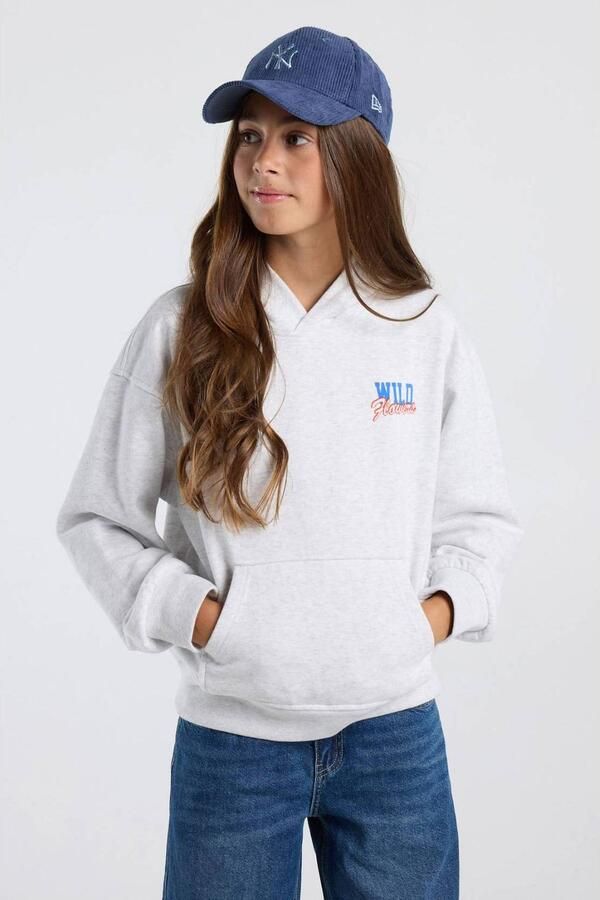 America Today hoodie met backprint light grey Sweater Grijs Backprint
