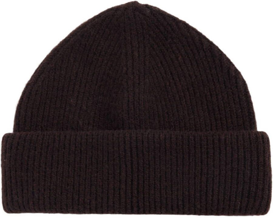 America Today muts bruin