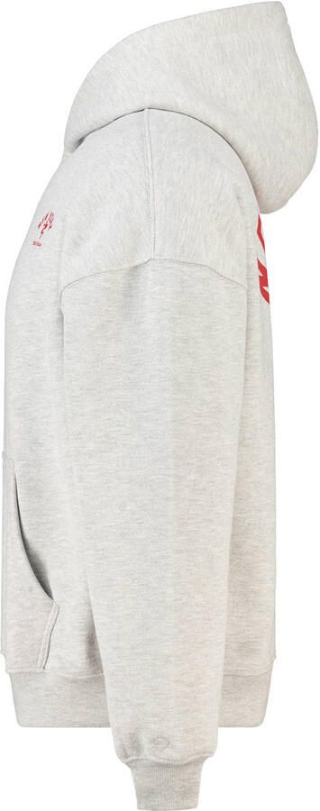 America Today oversized hoodie met backprint lichtgrijs - Foto 3