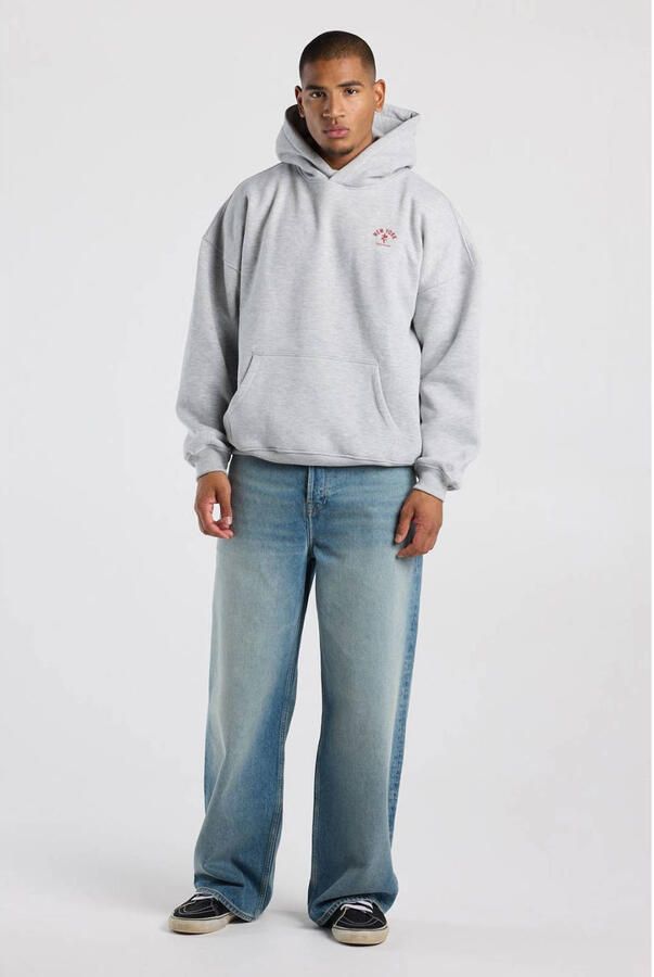 America Today oversized hoodie met backprint lichtgrijs - Foto 2