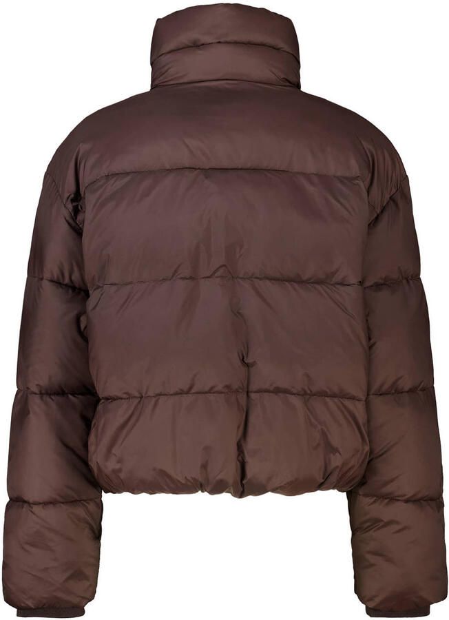 America Today pufferjas bruin