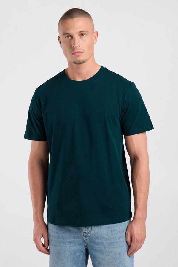 America Today regular fit T-shirt jade