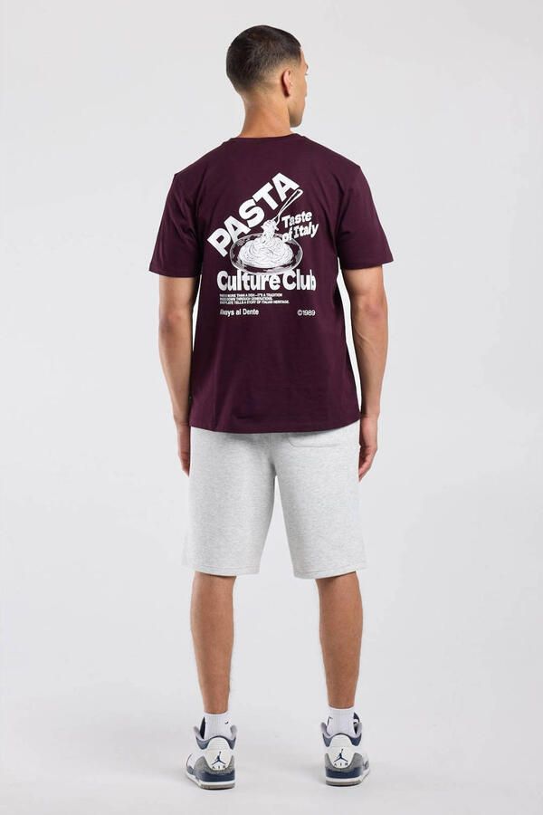 America Today regular fit T-shirt met backprint bordeauxrood - Foto 2