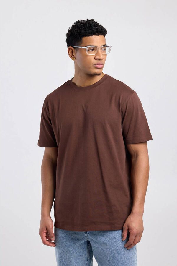 America Today regular T-shirt bruin