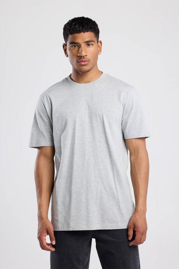 America Today regular T-shirt grijs